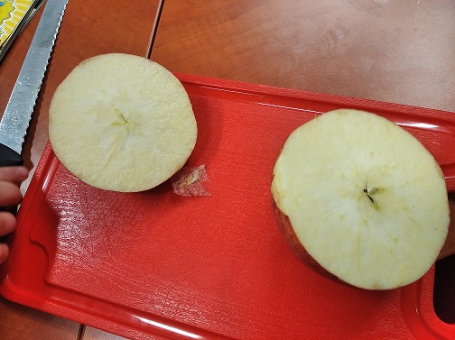 IMG 20191129 222823 1