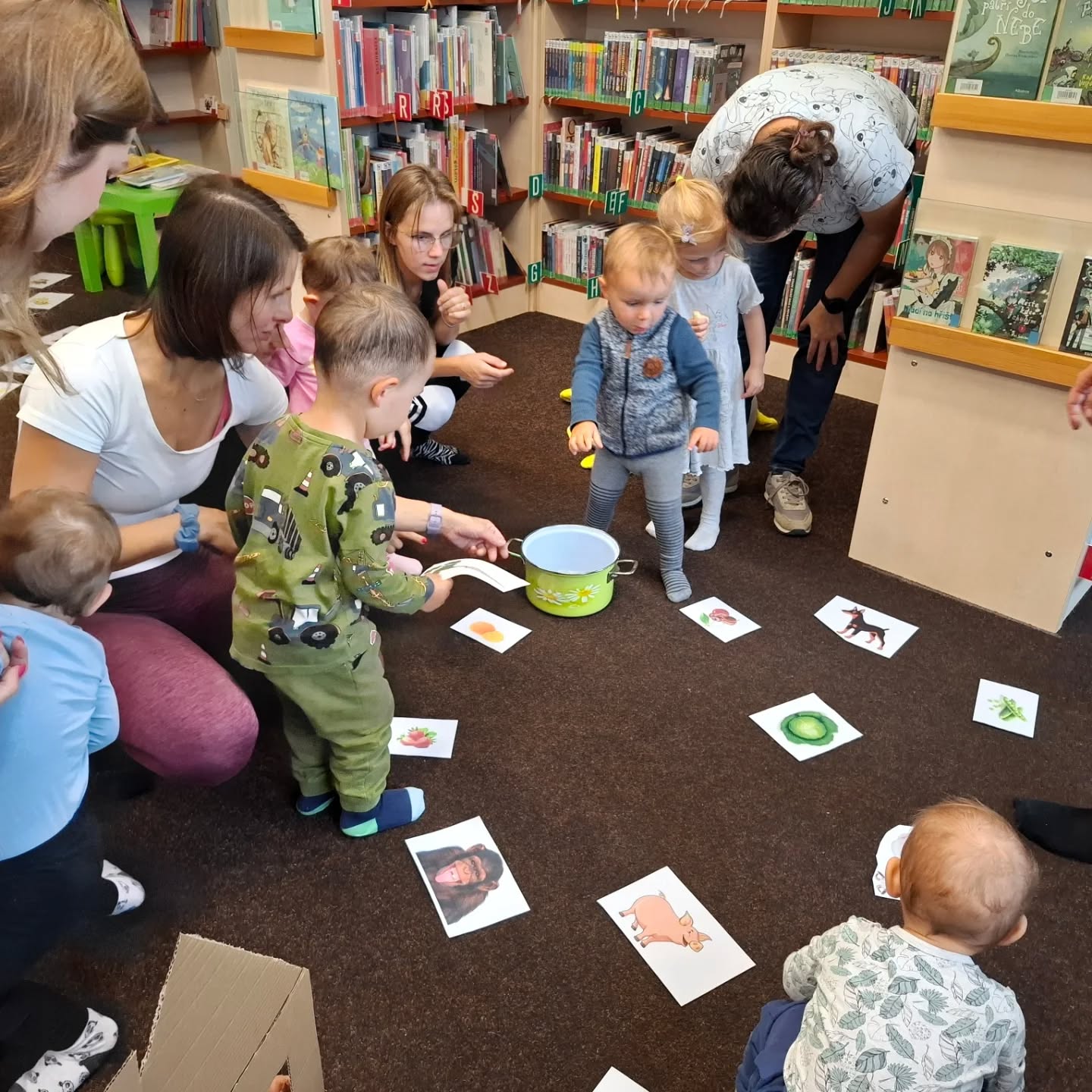 550799461 17856541284522042 6141673545007975225 n